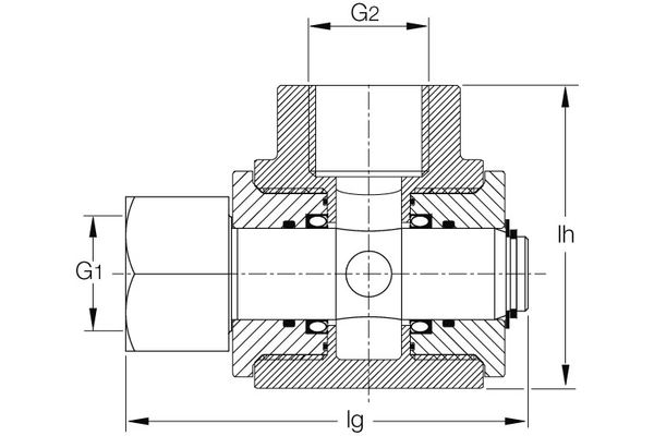 DG2NI32-W