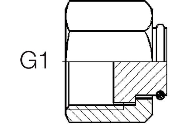 A04ORF-V