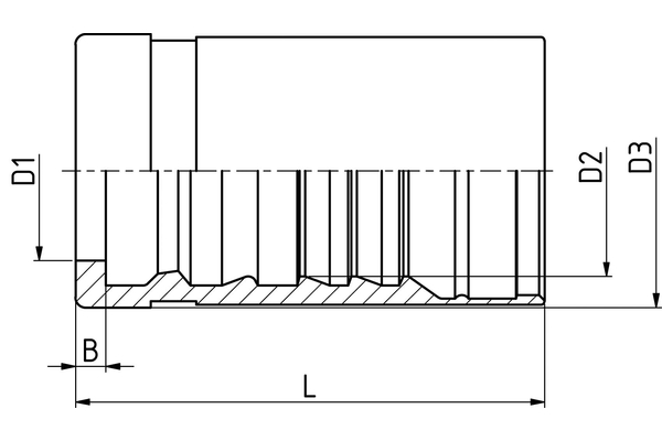 HV08