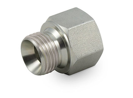 Raccord droit BSP - BSP fixe